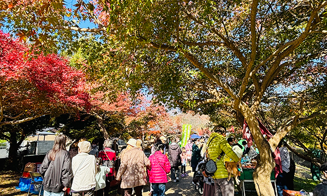 斑鳩町紅葉まつり​​