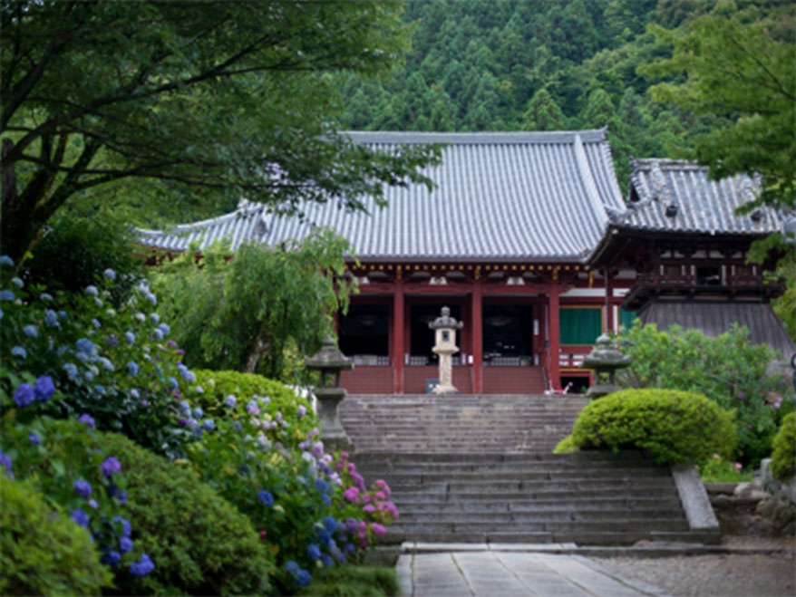 矢田寺